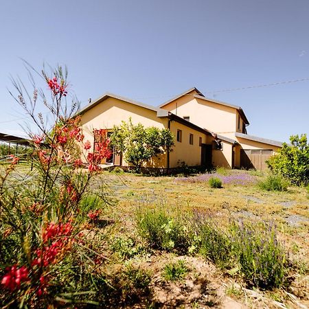 Agriturismo Bio Podere 109 - Wine&Food Alberese Eksteriør bilde