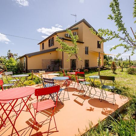 Agriturismo Bio Podere 109 - Wine&Food Alberese Eksteriør bilde