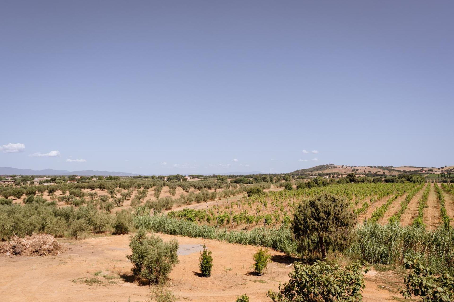 Agriturismo Bio Podere 109 - Wine&Food Alberese Eksteriør bilde