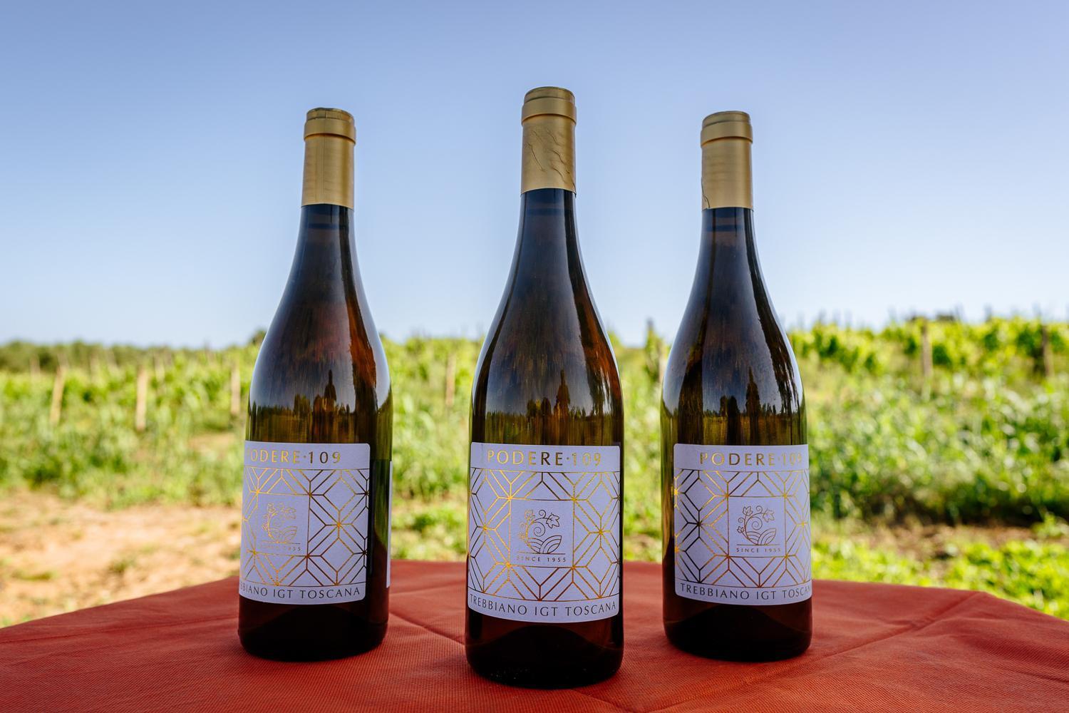 Agriturismo Bio Podere 109 - Wine&Food Alberese Eksteriør bilde